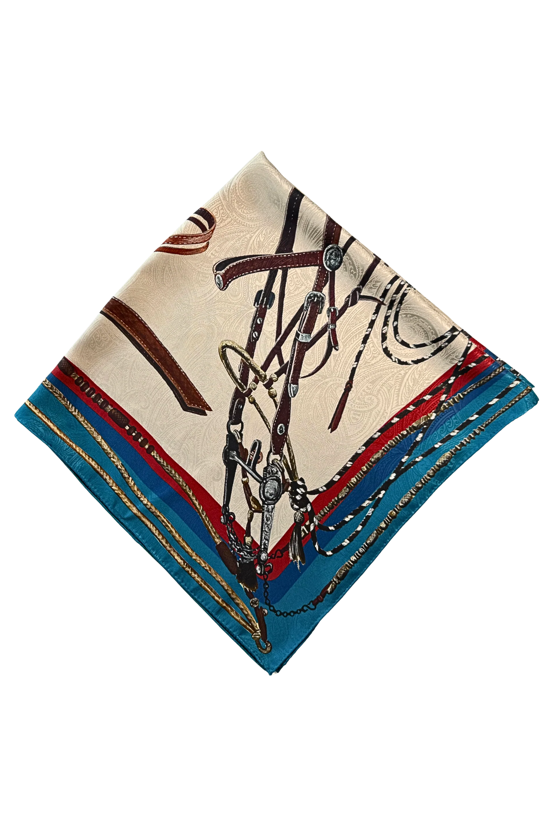 Bridles - Turquoise - Image 13