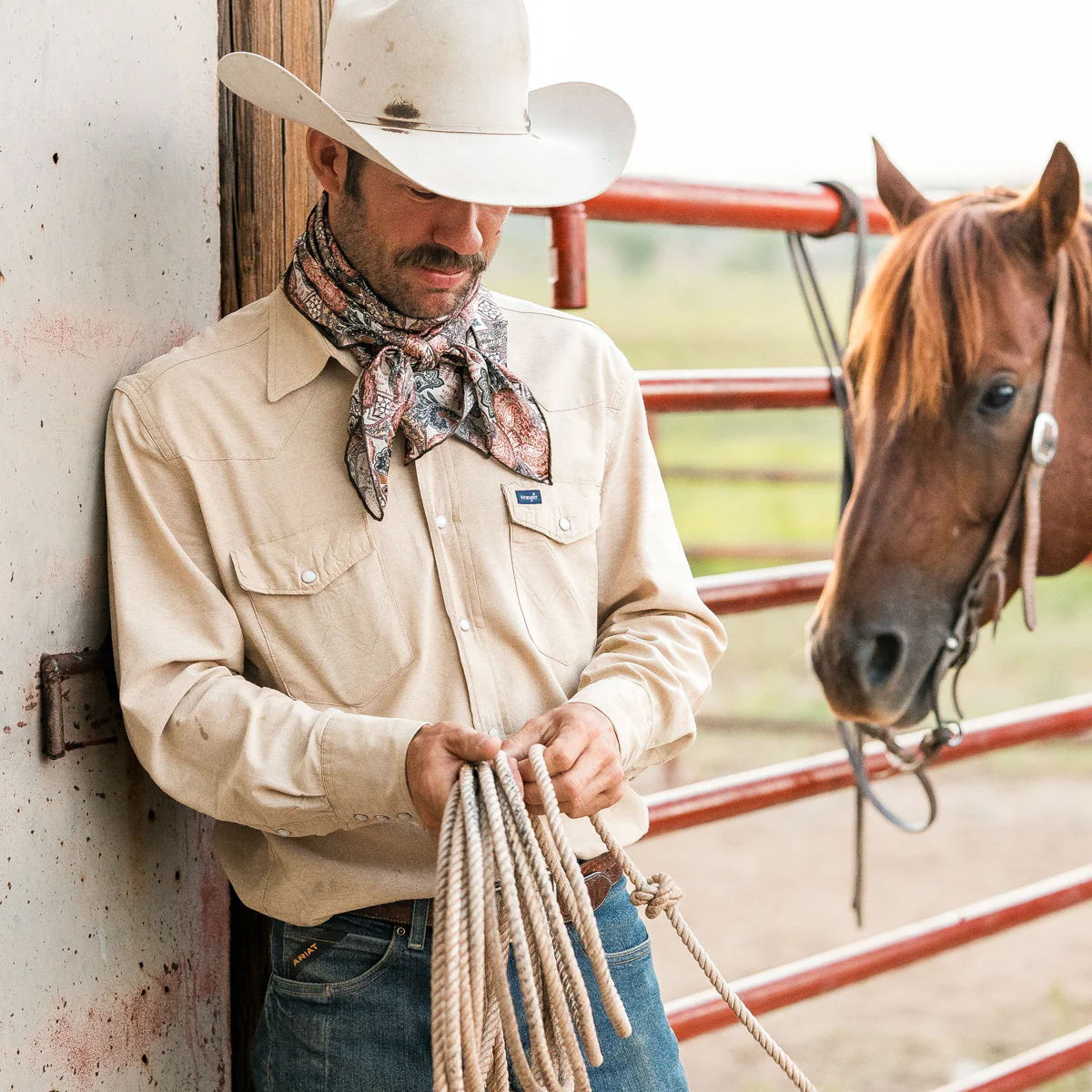 Brush Country - Image 4