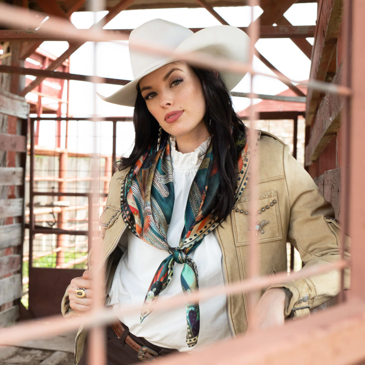 Burro Country - Image 3