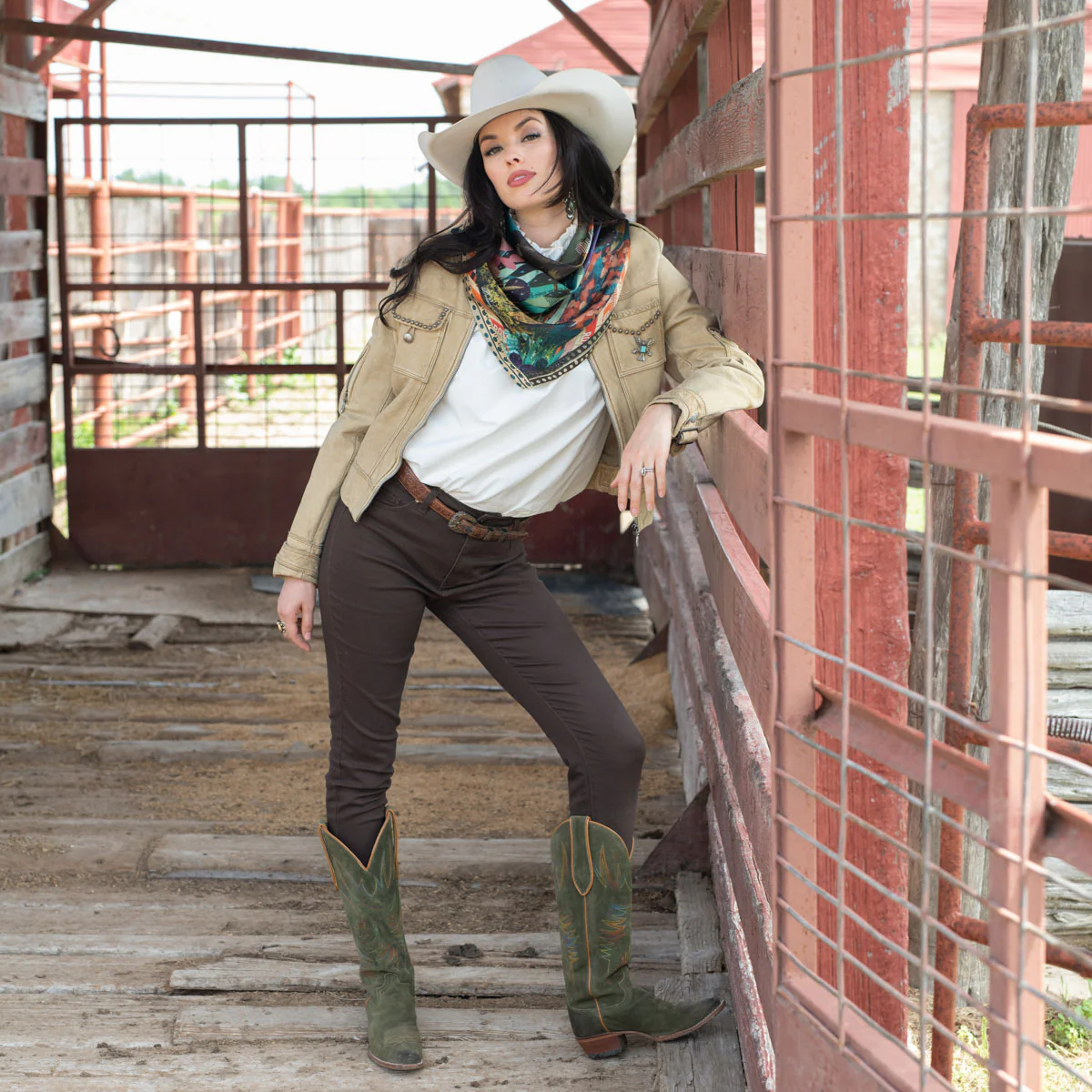 Burro Country - Image 5
