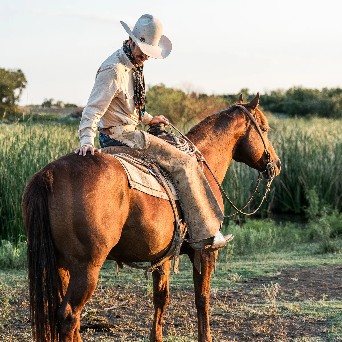 Cattleman - Image 10