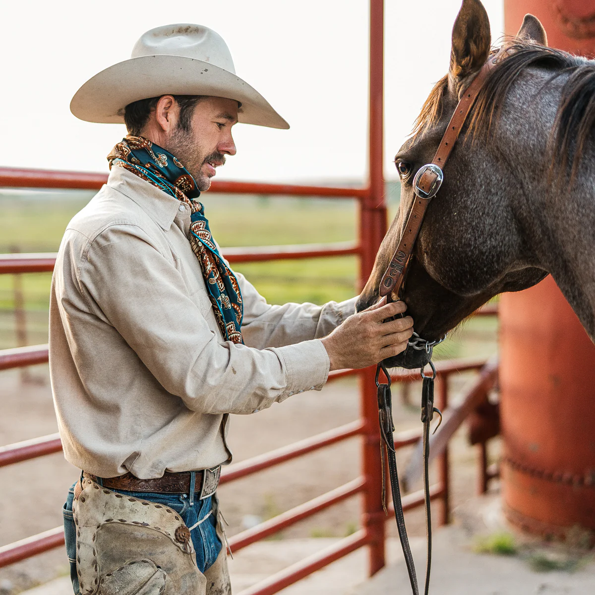 Cattleman - Image 11