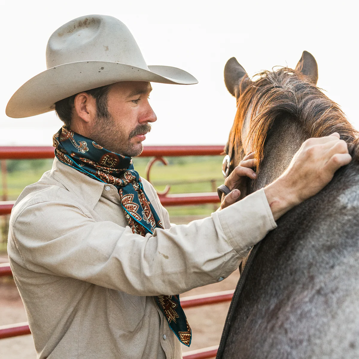 Cattleman - Image 12