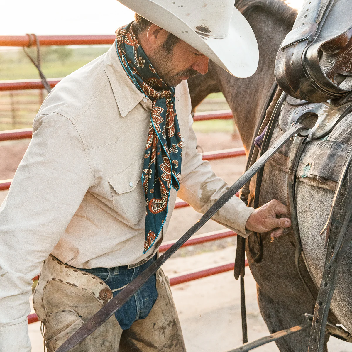 Cattleman - Image 16