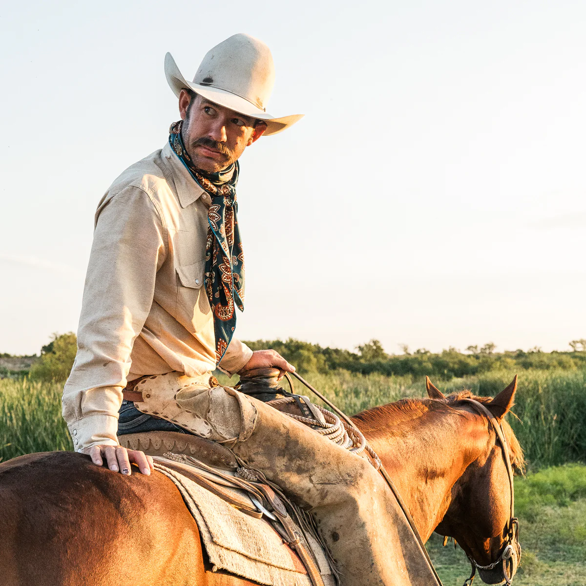 Cattleman - Image 17