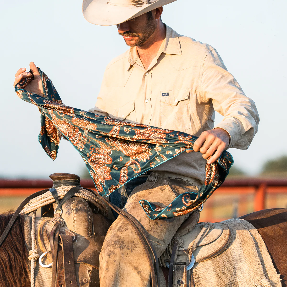 Cattleman - Image 4