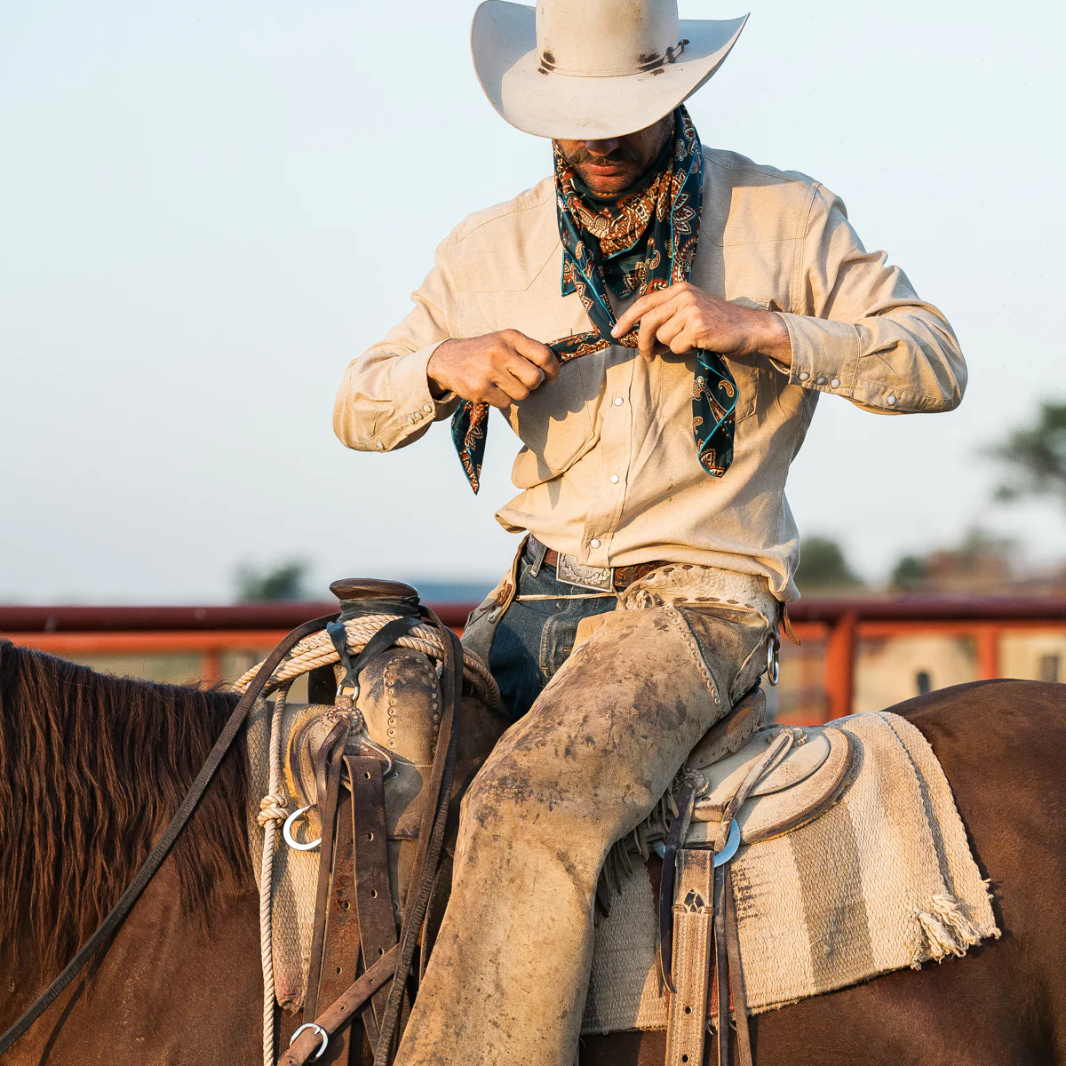Cattleman - Image 5