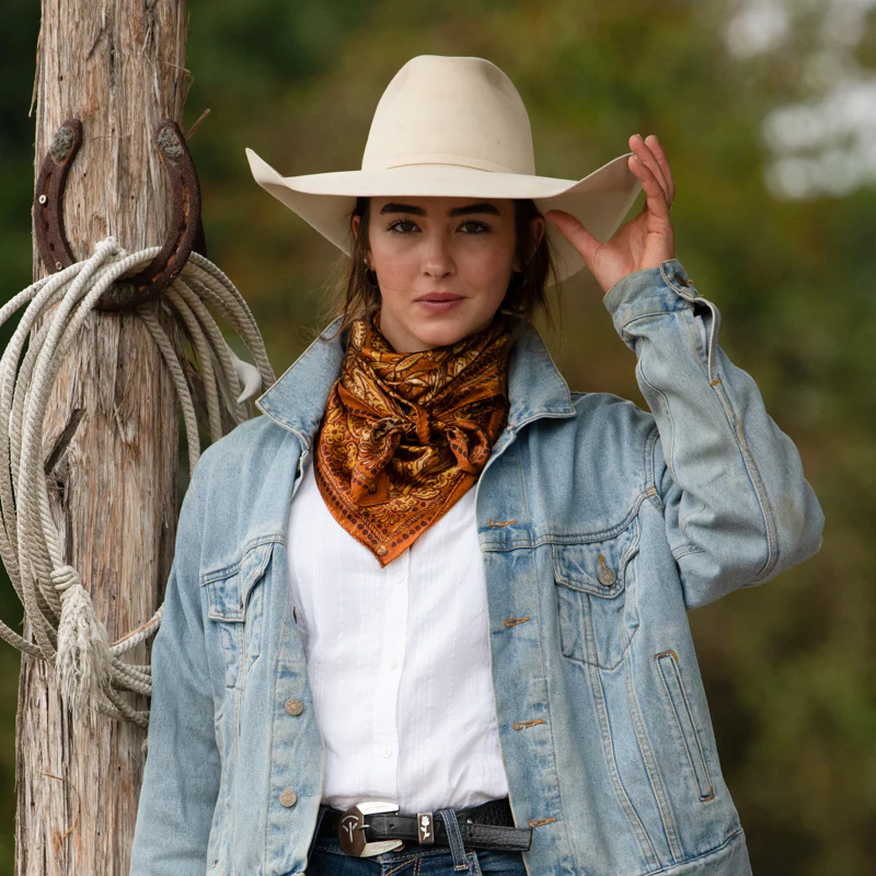 My Prairie Home - Image 6