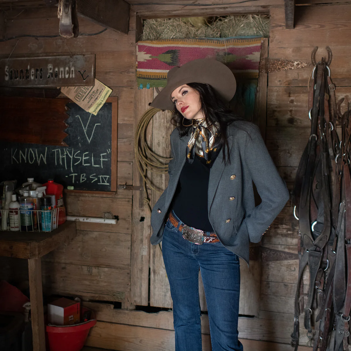 Saddle Up - Image 7
