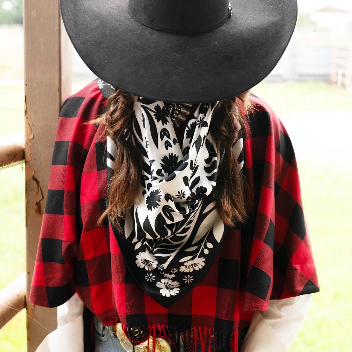 Senorita - Image 3