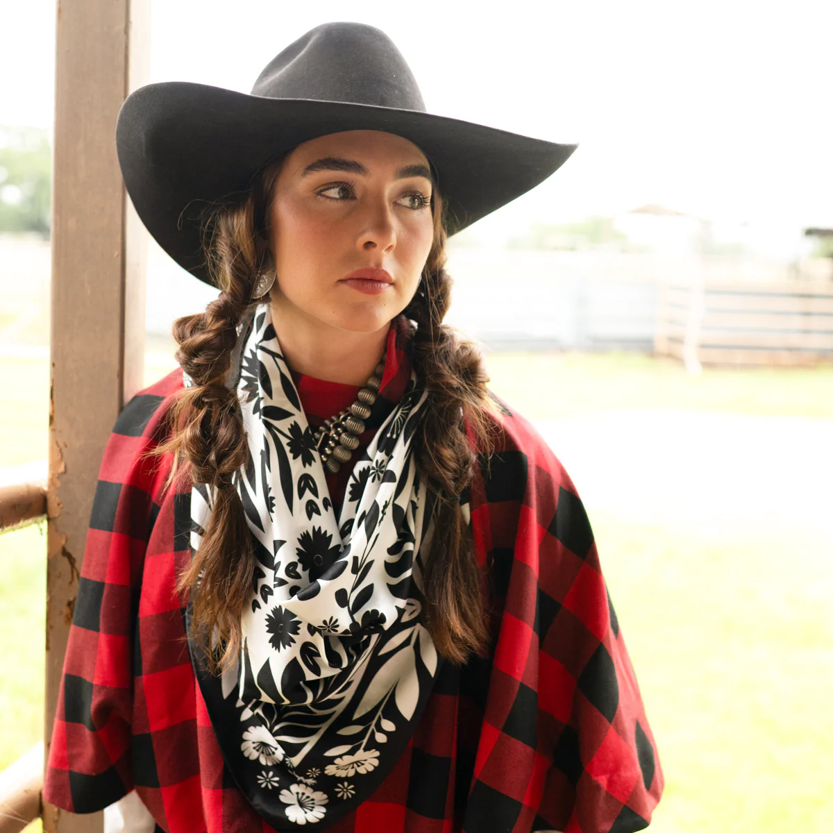 Senorita - Image 6